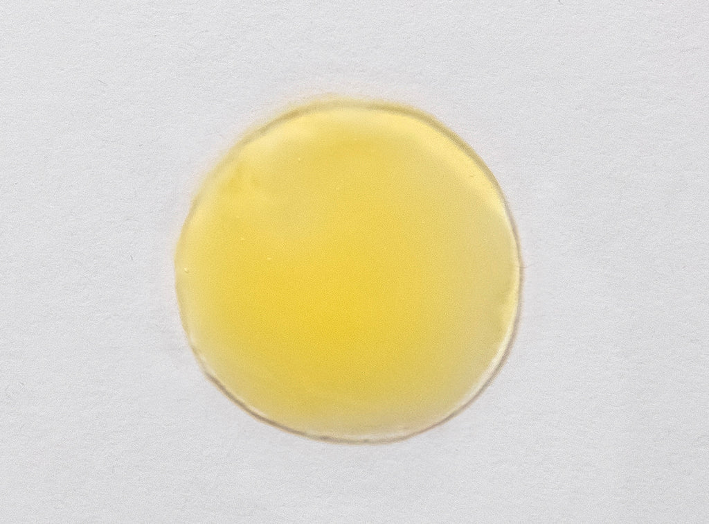 Skin Script- Vitamin C Green Tea Serum
