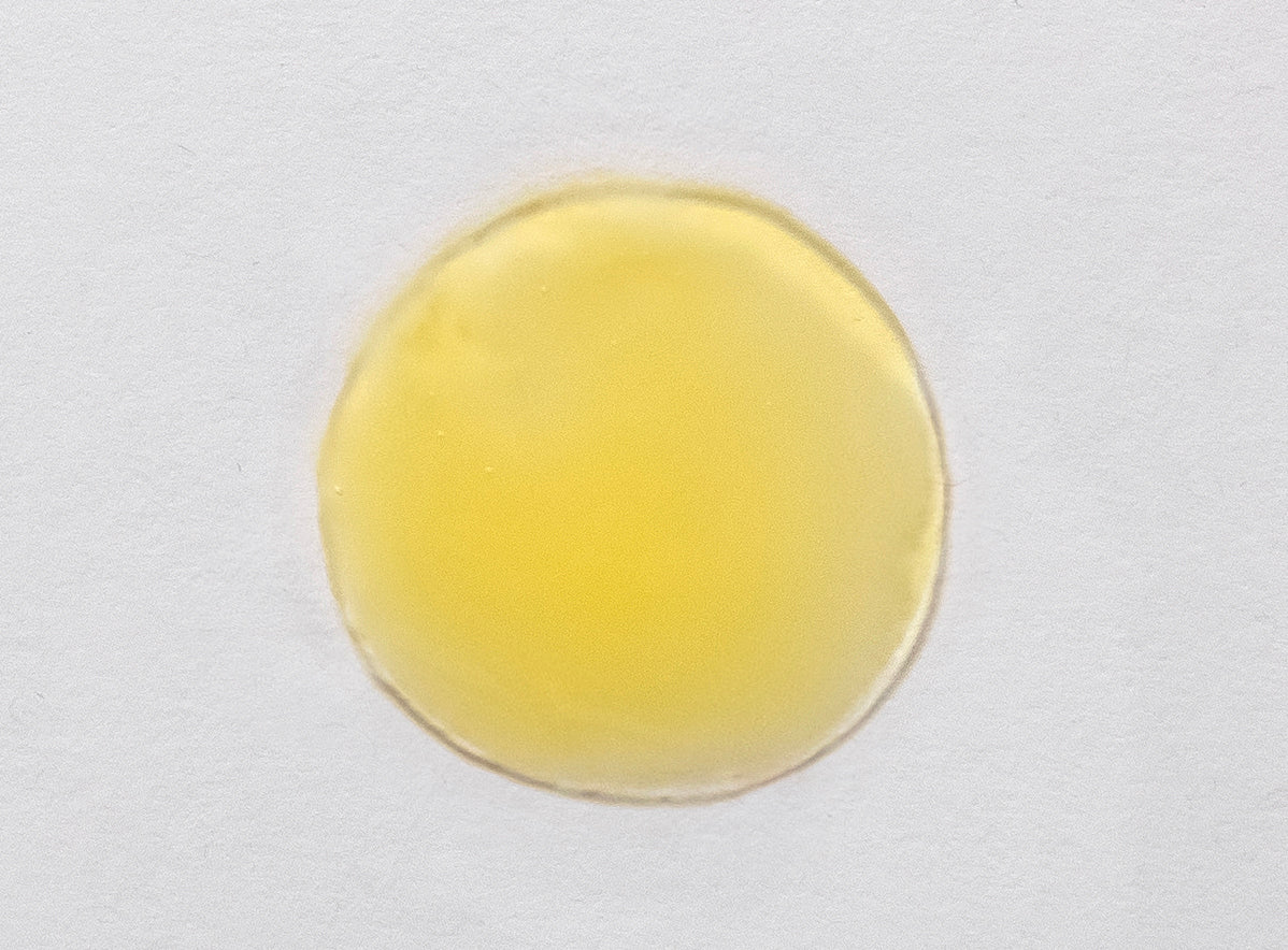 Skin Script- Vitamin C Green Tea Serum